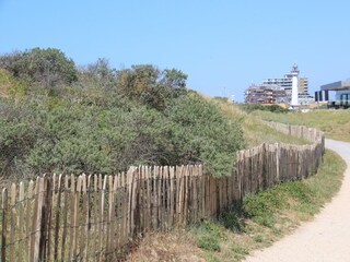 Maison de vacances Egmond aan Zee Environnement 12
