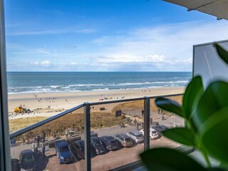 Vakantiehuis Egmond aan Zee Buitenaudio-opname 1