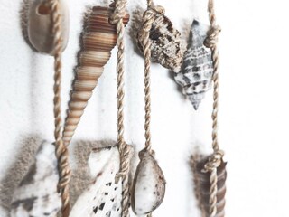 Holiday house Egmond aan Zee Outdoor Recording 5