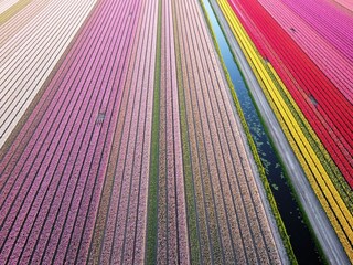 Vakantiehuis Sint Maartenszee Buitenaudio-opname 17