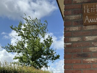 Holiday house Sint Maartenszee Outdoor Recording 24