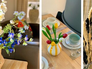 Vakantiehuis Sint Maartenszee Buitenaudio-opname 5