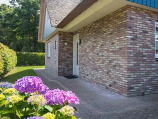 Ferienhaus Sint Maartenszee Außenaufnahme 2