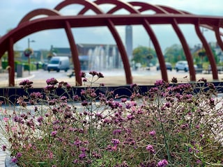 Ferienhaus Petten Außenaufnahme 2