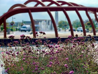 Maison de vacances Petten Enregistrement extérieur 4