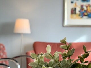 Casa per le vacanze Petten Caratteristiche 16