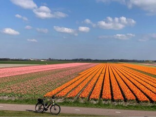 Maison de vacances Sint Maartenszee  24