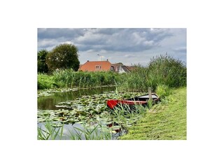 Vakantiehuis Sint Maartenszee Buitenaudio-opname 20