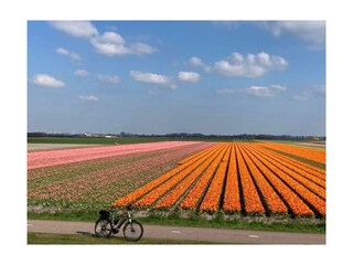 Vakantiehuis Sint Maartenszee Buitenaudio-opname 22