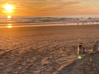 Maison de vacances Sint Maartenszee Enregistrement extérieur 26