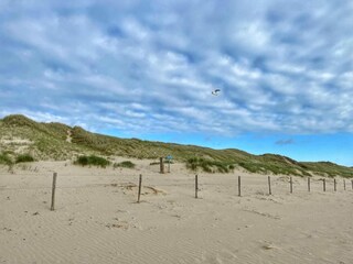 Maison de vacances Sint Maartenszee Environnement 11