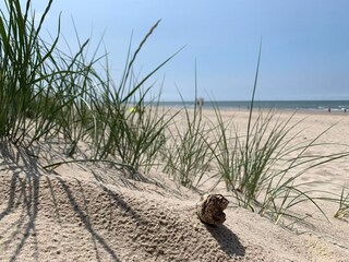 Vakantiehuis Sint Maartenszee Omgeving 8