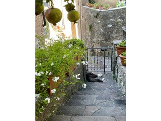 Casa de vacaciones Gargnano Grabación al aire libre 6