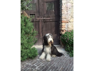 Holiday house Gargnano Environment 33