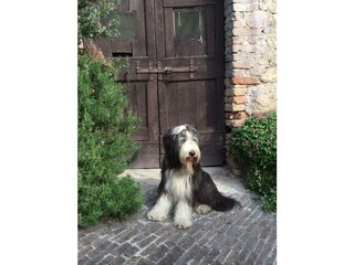 Maison de vacances Gargnano Environnement 31