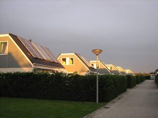 Maison de vacances Sint Maartenszee  13