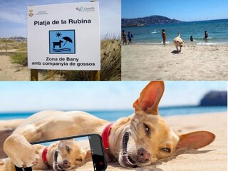 Appartement Empuriabrava  32