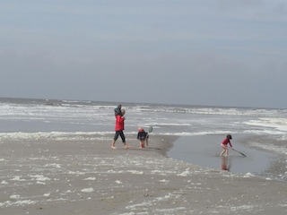 Maison de vacances Sint Maartenszee  20