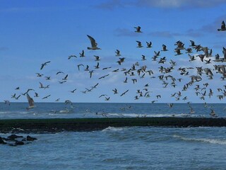 Casa per le vacanze Sint Maartenszee Registrazione all'aperto 24