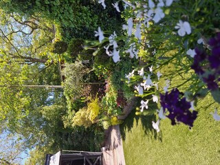 Vakantiehuis Sint Maartenszee Buitenaudio-opname 22