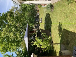 Vakantiehuis Sint Maartenszee Buitenaudio-opname 18