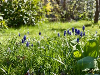 Casa de vacaciones Sint Maartenszee  19