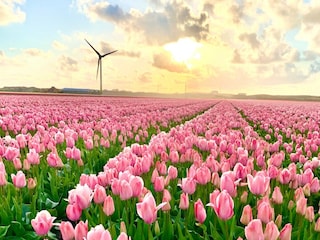 Vakantiehuis Sint Maartenszee  10