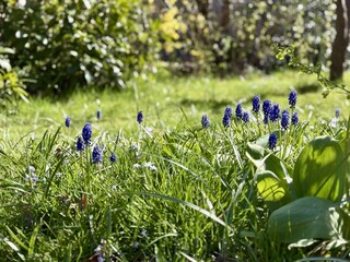 Holiday house Sint Maartenszee Outdoor Recording 19