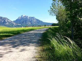 Ferienwohnung Schwangau Umgebung 15