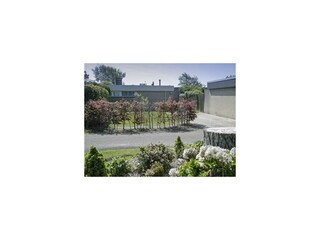 Vakantiehuis Sint Maartenszee Buitenaudio-opname 13