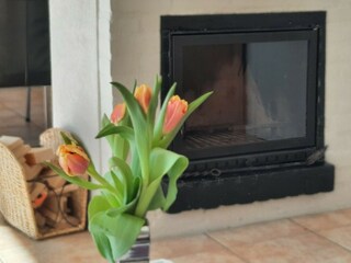 Casa per le vacanze Sint Maartenszee Registrazione all'aperto 7