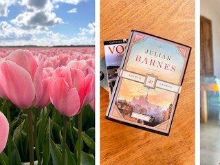 Ferienhaus Sint Maartenszee Außenaufnahme 15