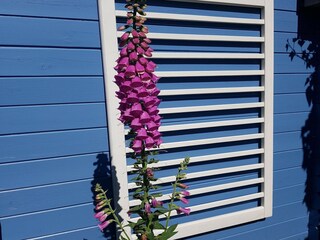 Maison de vacances Sint Maartenszee  16