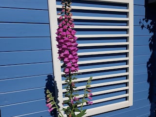 Vakantiehuis Sint Maartenszee  16