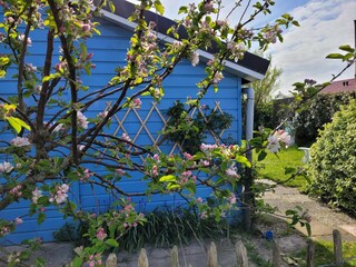 Casa per le vacanze Sint Maartenszee  18