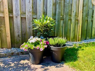 Casa per le vacanze Sint Maartenszee Registrazione all'aperto 5