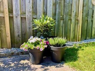Casa de vacaciones Sint Maartenszee Grabación al aire libre 17