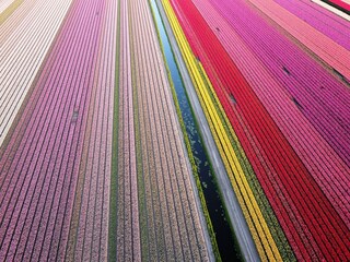 Vakantiehuis Sint Maartenszee  15