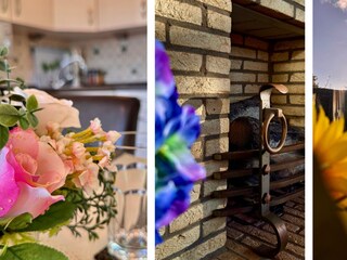 Holiday house Sint Maartenszee Outdoor Recording 8