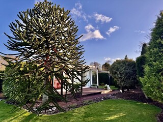 Holiday house Sint Maartenszee Outdoor Recording 21