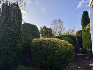 Casa de vacaciones Sint Maartenszee Grabación al aire libre 22
