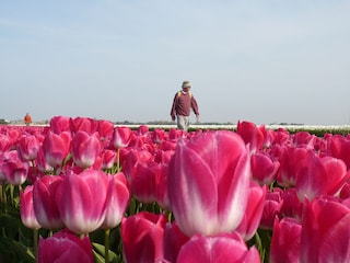 Holiday house Sint Maartenszee Outdoor Recording 24