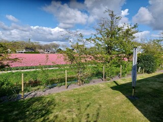 Holiday house Sint Maartenszee  21