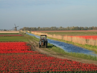Ferienhaus Sint Maartenszee  6