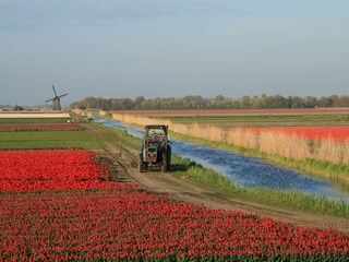 Vakantiehuis Sint Maartenszee  6