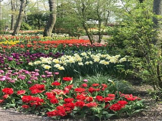 Vakantiehuis Sint Maartensvlotbrug  21
