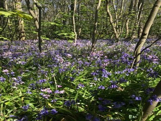 Vakantiehuis Sint Maartensvlotbrug  12