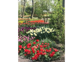 Maison de vacances Sint Maartensvlotbrug Enregistrement extérieur 8