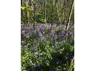 Holiday house Sint Maartensvlotbrug Outdoor Recording 22