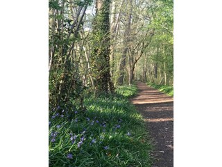 Holiday house Sint Maartensvlotbrug Outdoor Recording 23